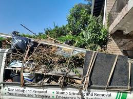 Best Furniture Removal  in Redwater, TX